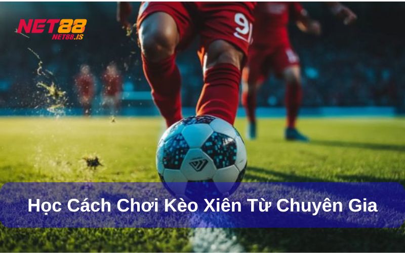 Học cách chơi kèo xiên từ chuyên gia